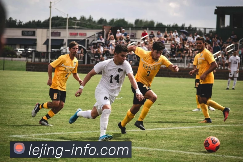 App Interface Preview